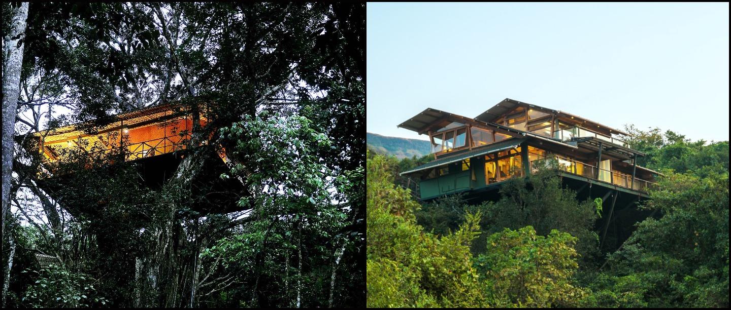 5 Tree House Resorts In India That You Must Visit To Be As Close To Nature As Possible!