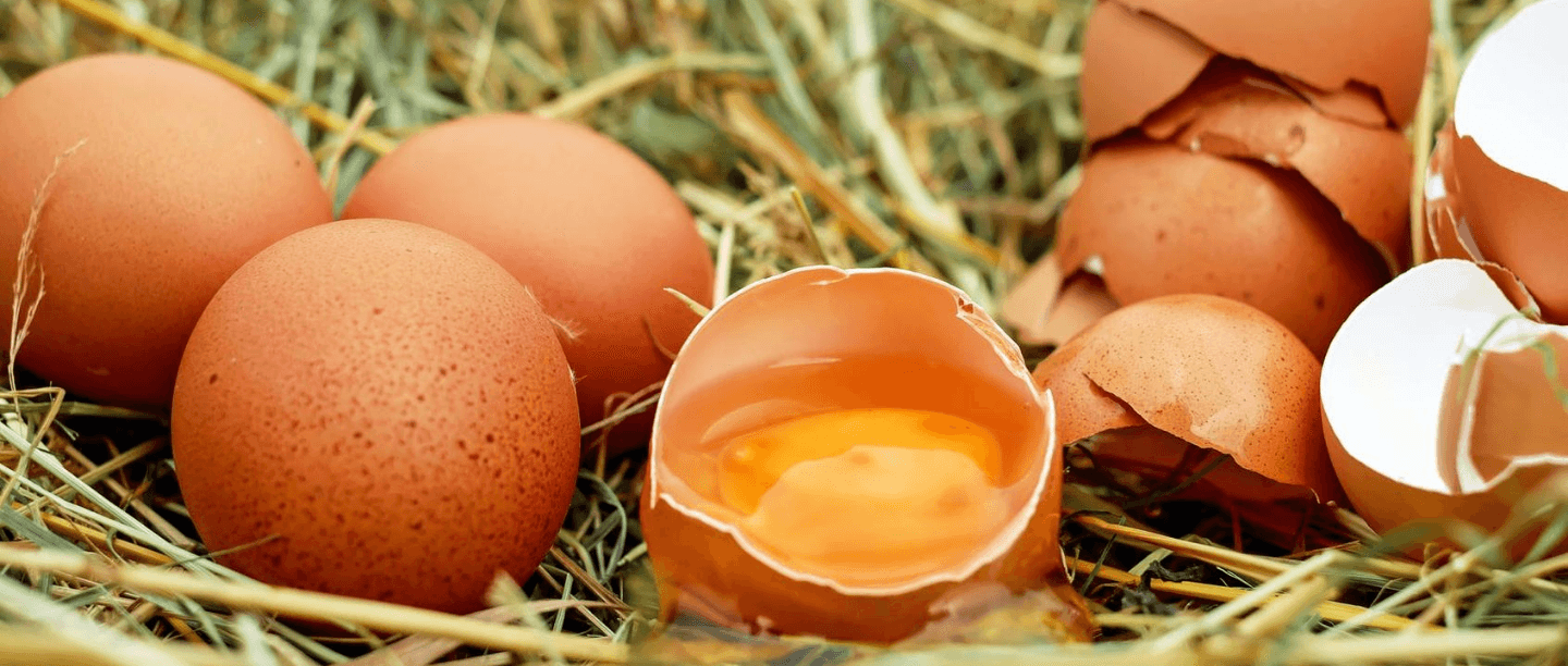 Egg-ceptionally Awesome: The Many Beauty Benefits Of Eggs For Your Hair &amp; Skin